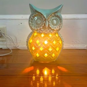 Turquoise Owl night light